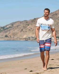 Flag & Anthem HAWKINS STRIPED SWIM SHORT - 10