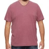 Flag & Anthem CHATHAM BURNOUT SLUB V-NECK TEE BIG & TALL