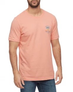 Flag & Anthem SUNNY PALM TEE